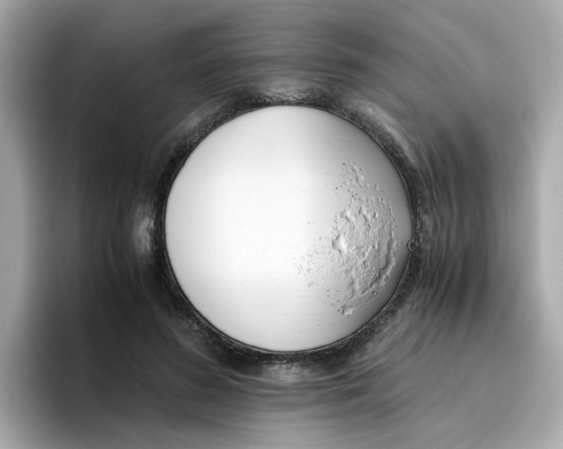 X0000096460596200802141534
