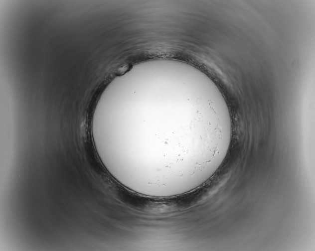 X0000096460597200802141534