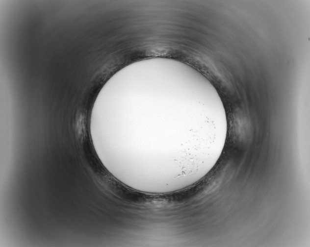 X0000096460598200802141534