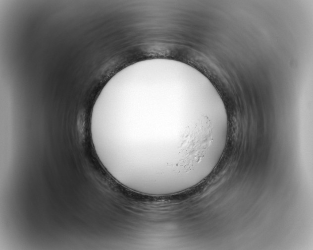 X0000096460600200802141534