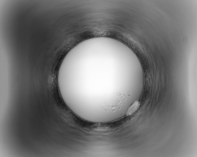 X0000096460601200802141534