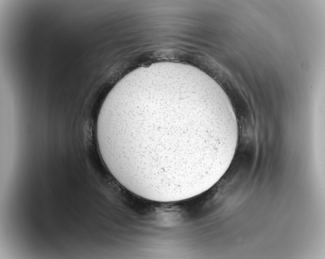 X0000096460603200802141534