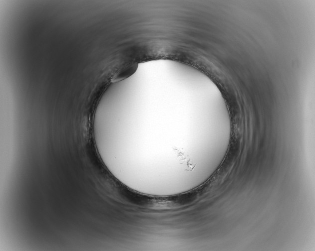 X0000096460605200802141533