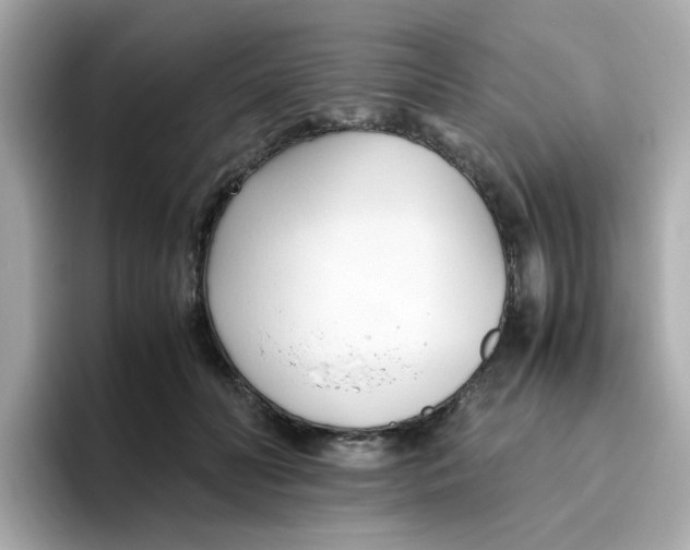 X0000096460606200802141533