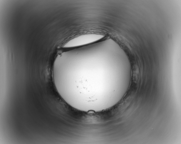 X0000096460608200802141533