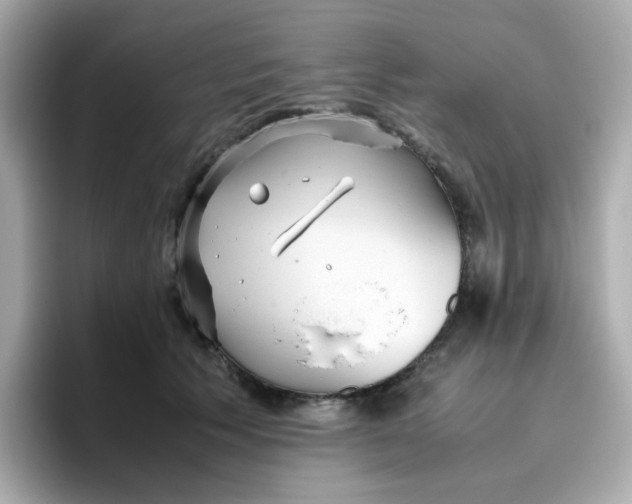 X0000096460609200802141533