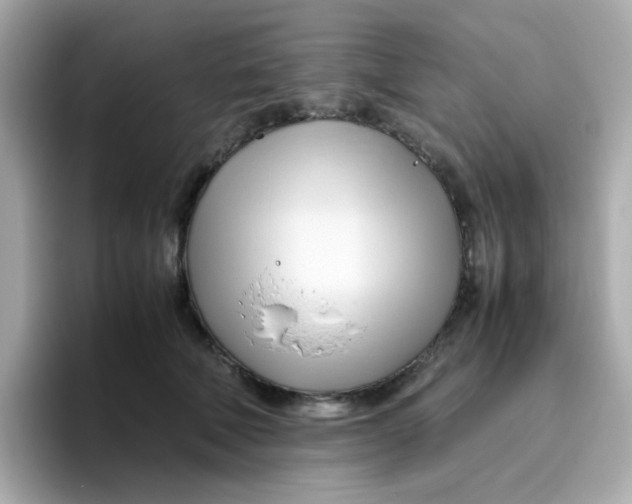 X0000096460610200802141533