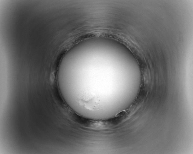 X0000096460611200802141533