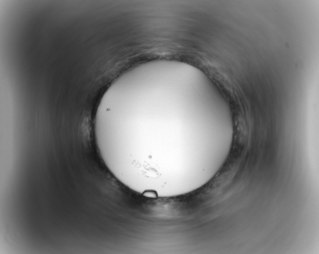 X0000096460612200802141533