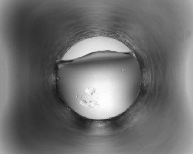 X0000096460613200802141533