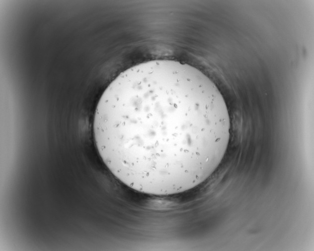X0000096460614200802141533