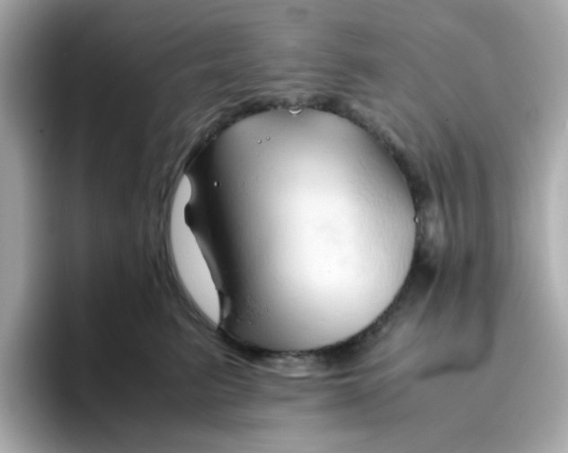 X0000096460615200802141533