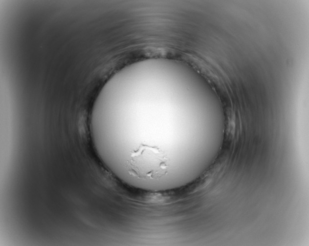 X0000096460616200802141533