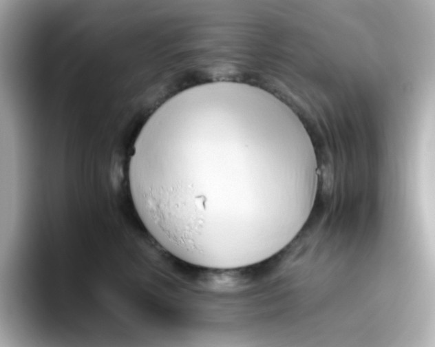 X0000096460618200802141533