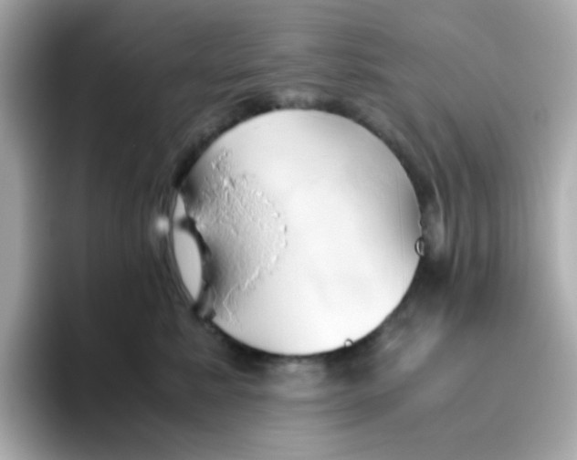 X0000096460619200802141533