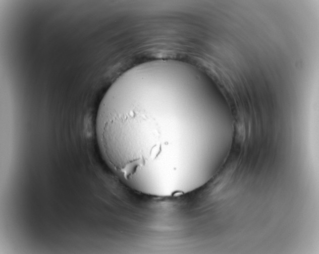 X0000096460620200802141533