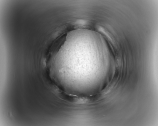 X0000096460621200802141533