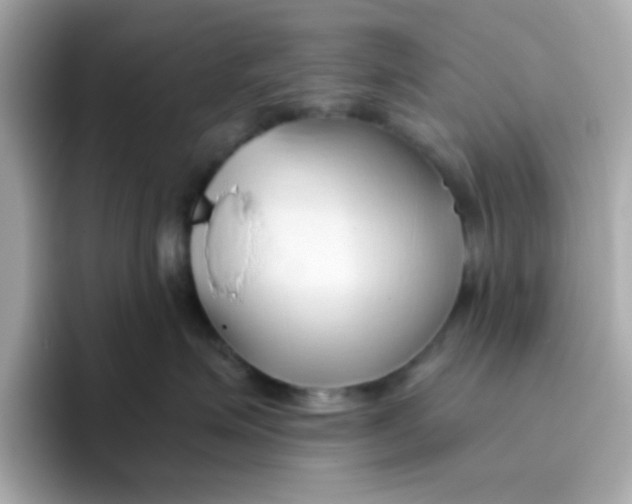 X0000096460623200802141533