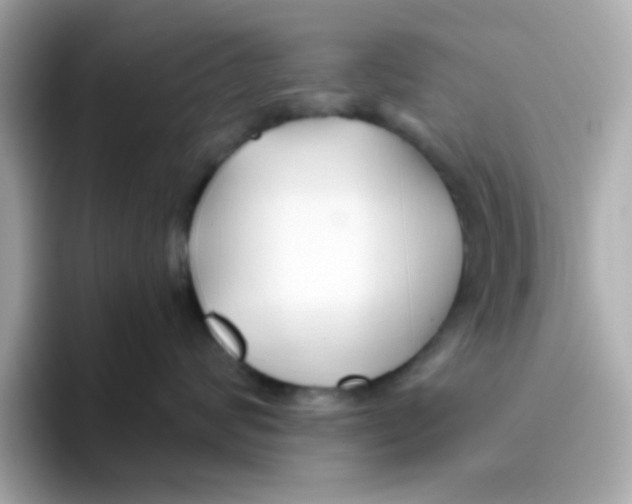 X0000096460624200802141533
