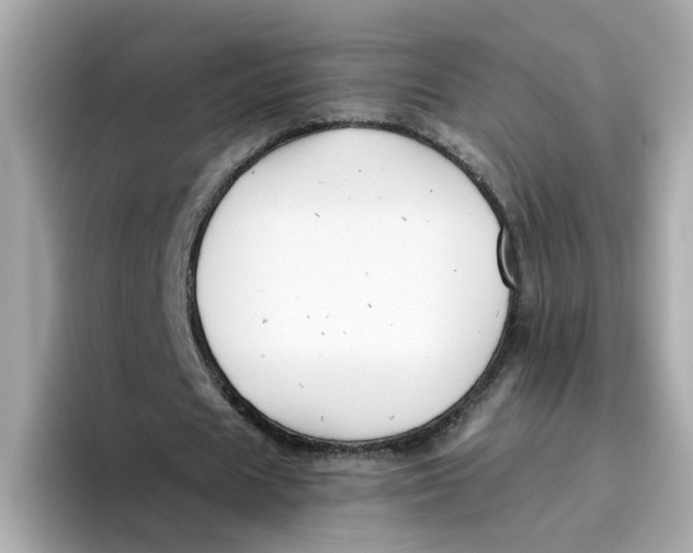 X0000096460625200802141533