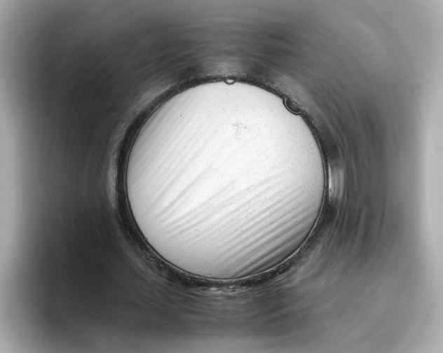 X0000096460627200802141533