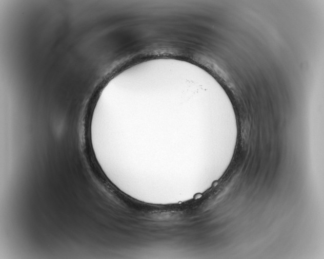 X0000096460629200802141533