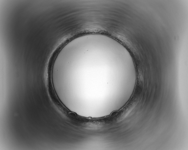 X0000096460630200802141533