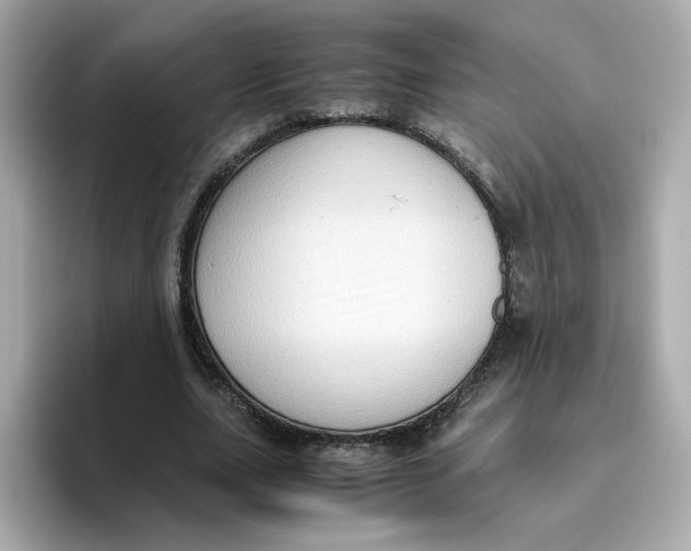 X0000096460631200802141533