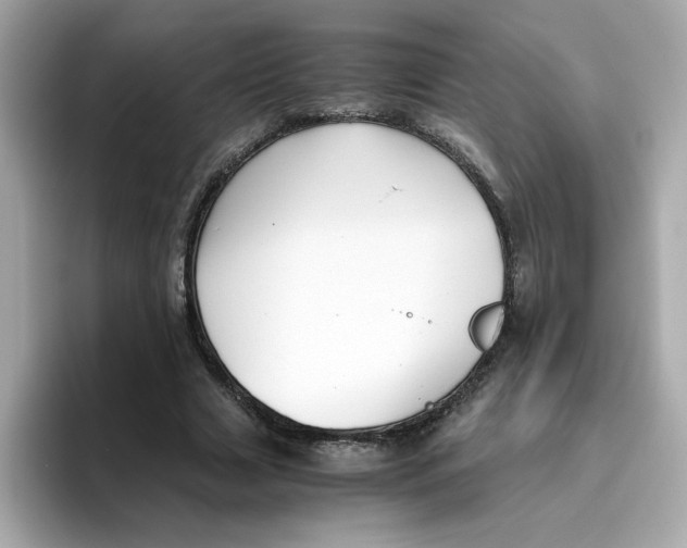X0000096460633200802141533