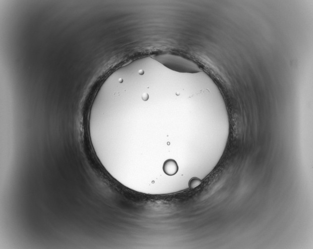X0000096460634200802141533