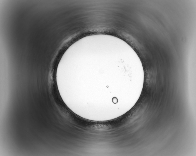 X0000096460636200802141533
