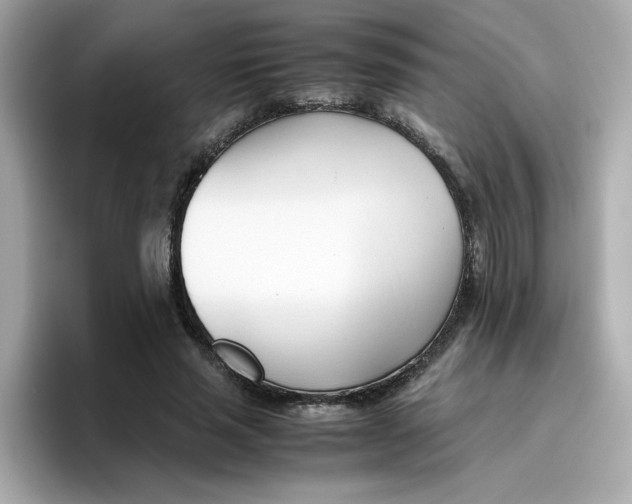 X0000096460637200802141533