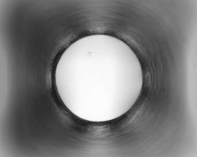 X0000096460638200802141533
