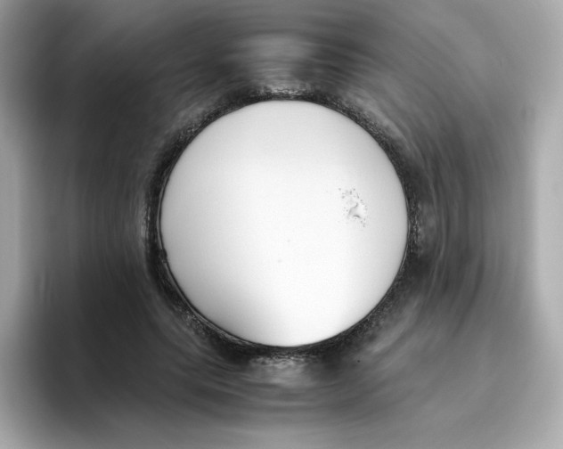 X0000096460639200802141533