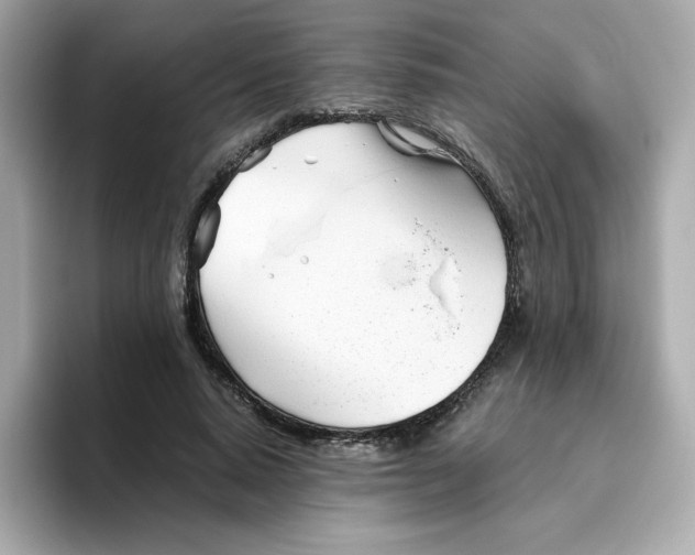X0000096460640200802141533