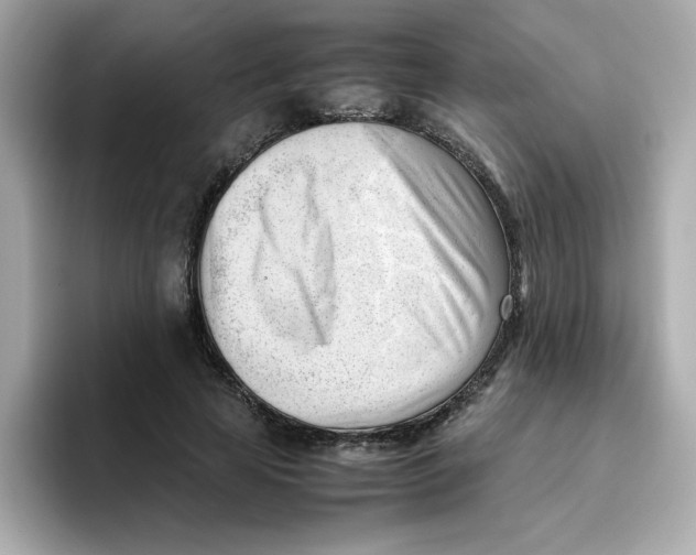 X0000096460641200802141533