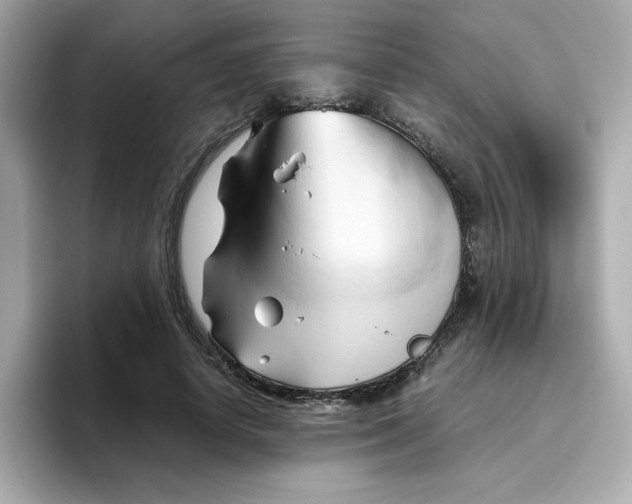 X0000096460642200802141533