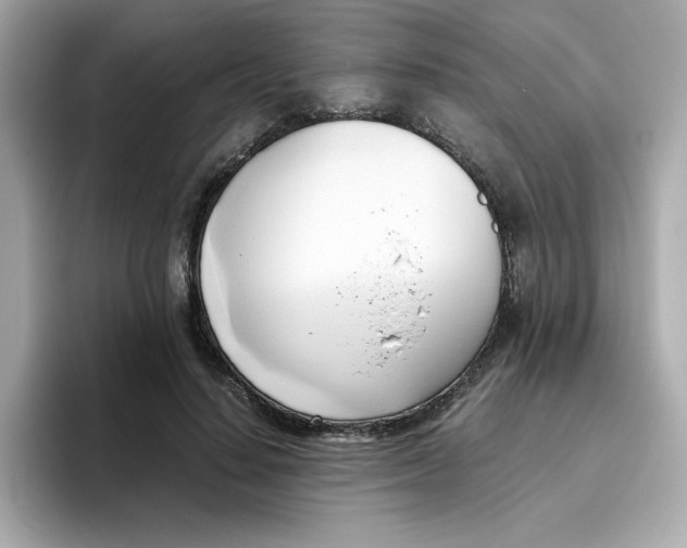 X0000096460644200802141533