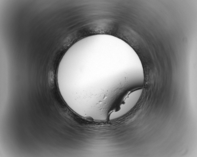X0000096460646200802141533