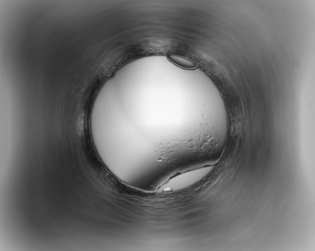 X0000096460647200802141533