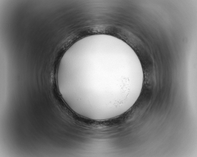 X0000096460648200802141533