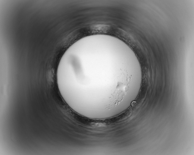 X0000096460649200802141533