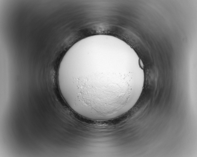 X0000096460650200802141533