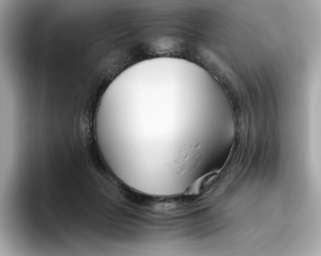 X0000096460653200802141533