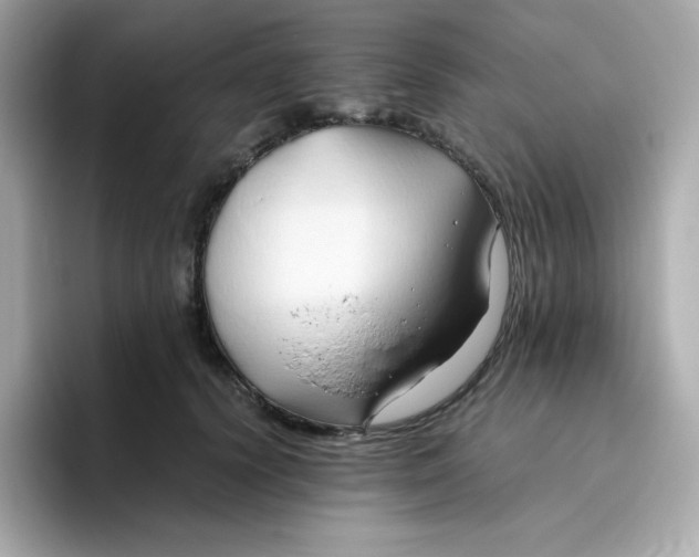 X0000096460656200802141533