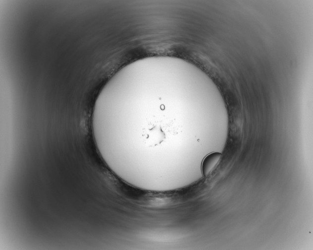 X0000096460658200802141533