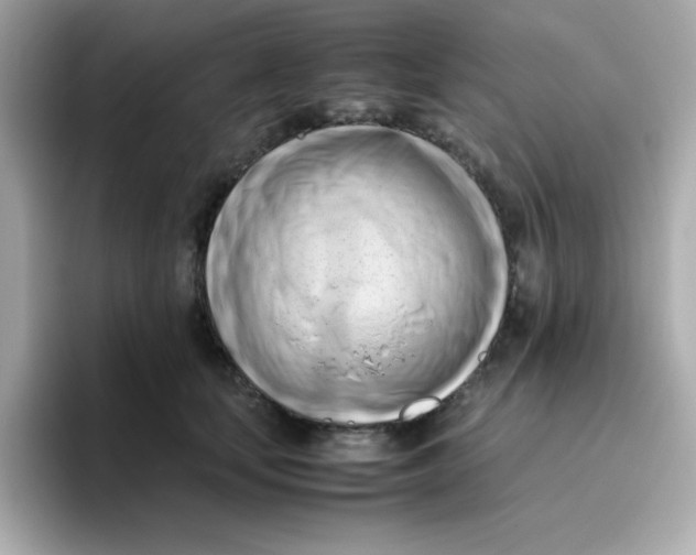 X0000096460659200802141533