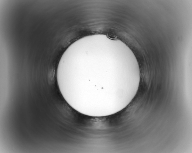 X0000096460660200802141533