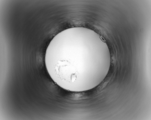 X0000096460662200802141533