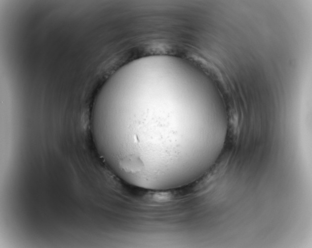 X0000096460665200802141533